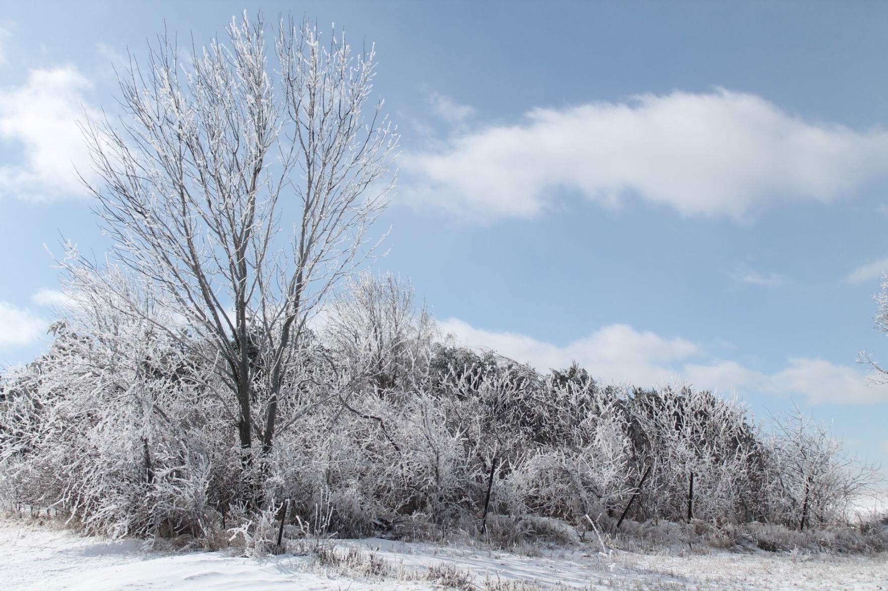 February ice storm
